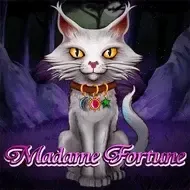 Madame Fortune screenshot